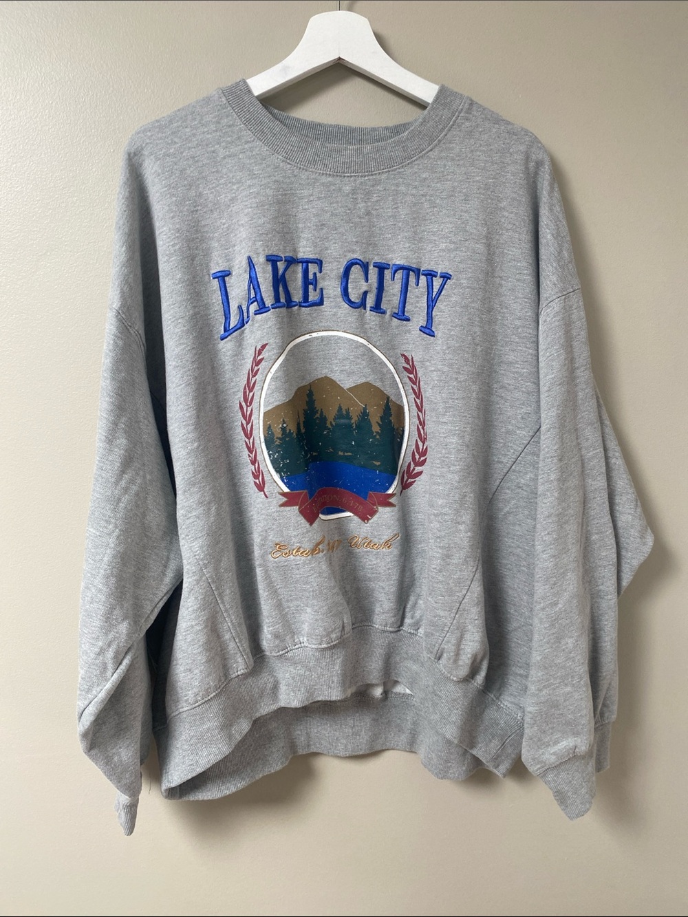 Urban Outfitters Lake City Crew Neck oversized Sweatshirt size Large - Picture 2 of 7